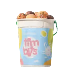 Spring Bucket with 30 Timbits